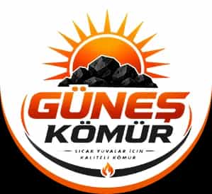 GÜNEŞ KÖMÜR